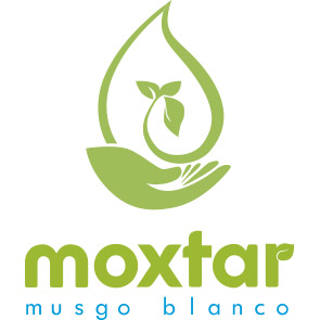 logo-moxtar