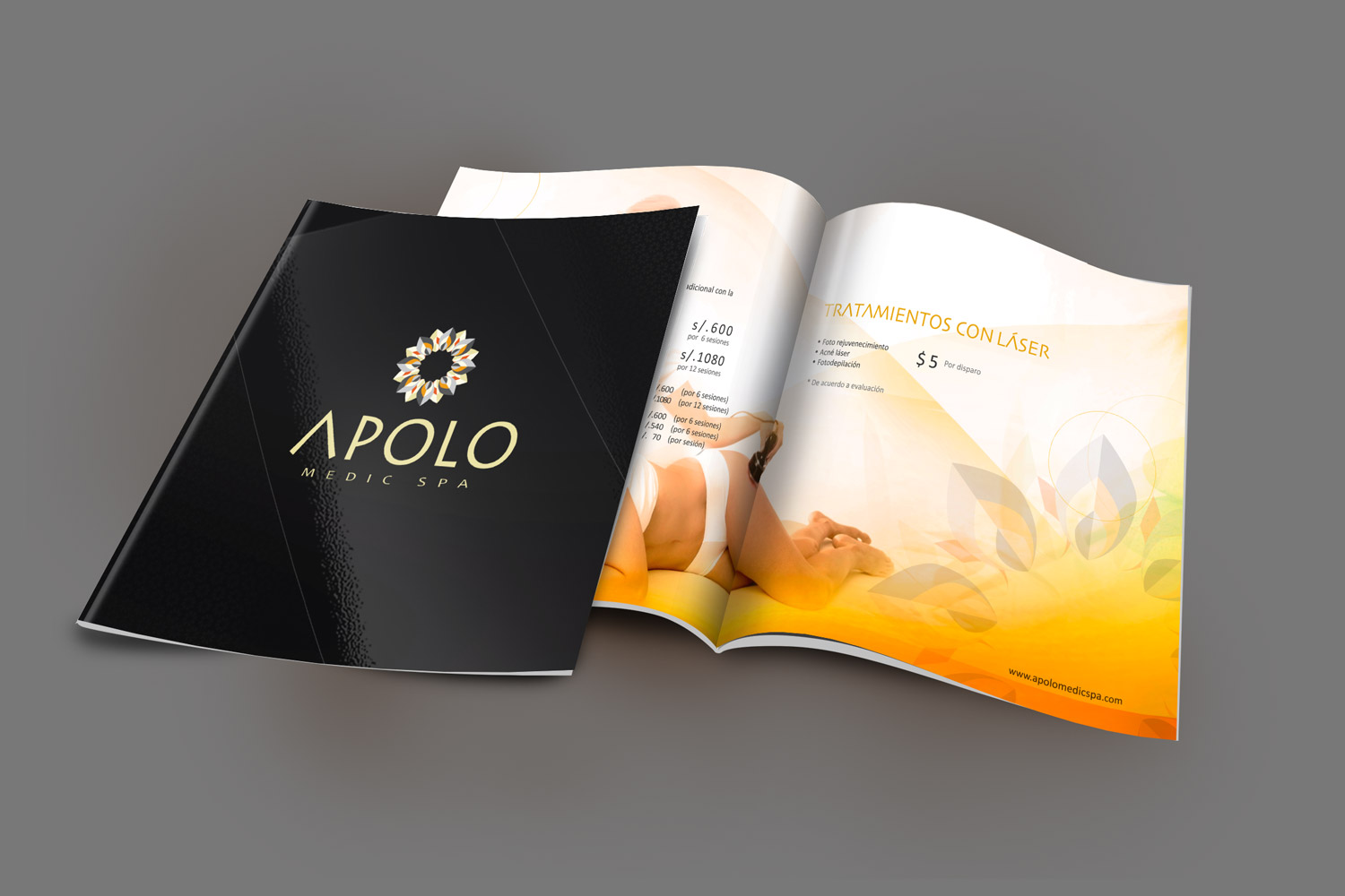 Brochure-Magazine-Mockup-Free-PSDapolo01